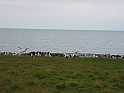 Obraz 268